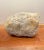 Unique Rock With Dinosaur Head For Sale - Image 4 of 6
