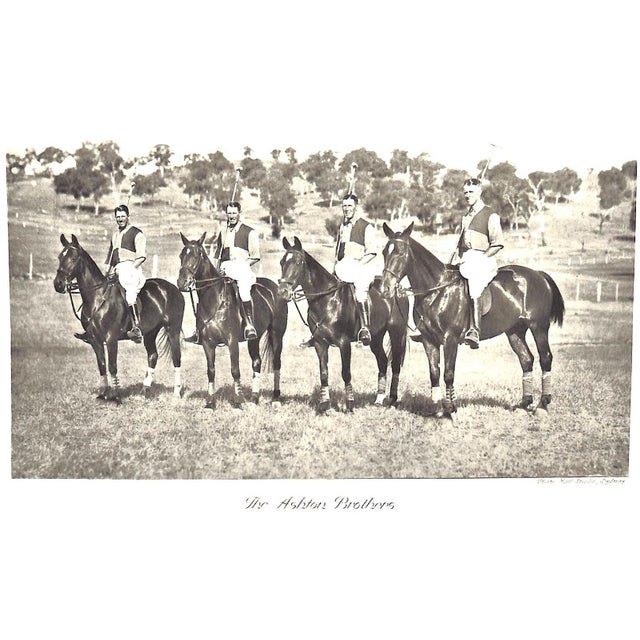 "International Sport Polo" 1931 Stock, Alphons For Sale - Image 12 of 12