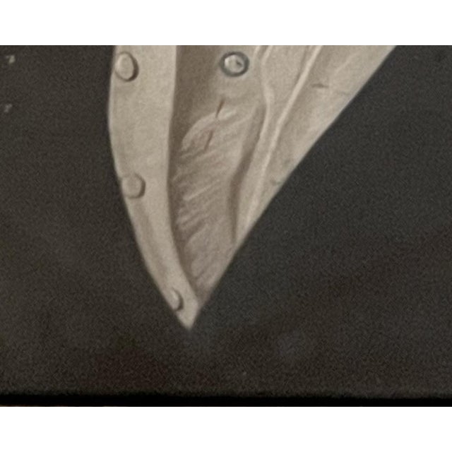 Early 19th Century Joseph Petitot, Portrait of Hilaire-Philippe Richan, 1815, Pastel on Paper, Framed For Sale - Image 5 of 13