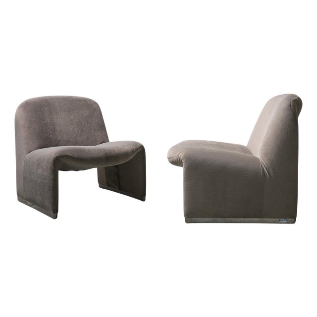 Gray Mohair Velvet Alky Chair by Giancarlo Piretti for Anonima Castelli, 1960s For Sale