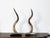 Pair of European Midcentury Horns Mounted on Silver and Black Stepped Bases For Sale - Image 4 of 8