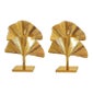 Shop Dlight Chandelier and Decor