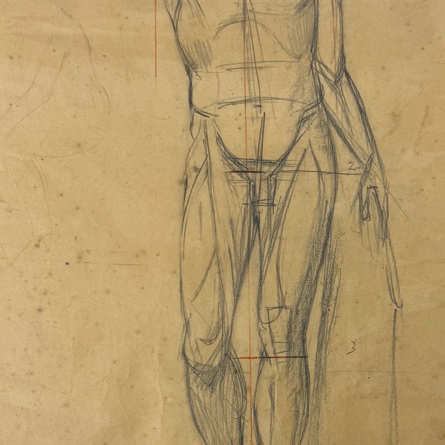 Anatomical Sketch, 1950, Pencil on Paper, Framed, in Very Good conditions. Designed 1950 to 1959