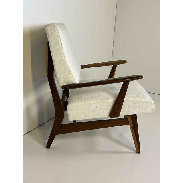 Modern Vintage Turin School Lounge Chair, 1960s For Sale - Image 3 of 8