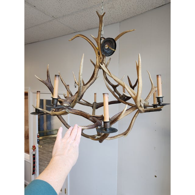 Anthony Redmile Antique Elk Antler Chandelier For Sale - Image 4 of 13