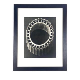 1930s Framed Botanical Blossfeldt Print - No. 70 For Sale