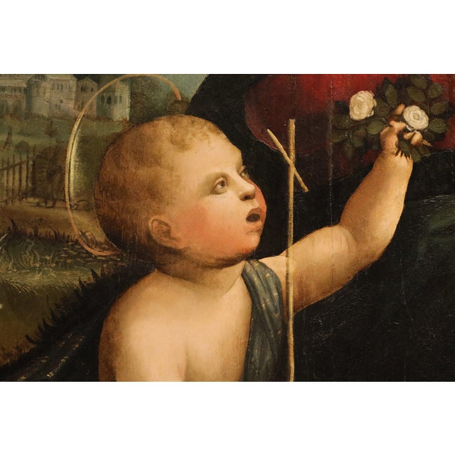 Workshop of Marco Palmezzano, Saint John the Baptist as a Child, 16th Century, Oil Painting on Panel For Sale - Image 11 of 15