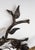 Brutalist Spanish Wrought Iron Wall Sconce, 1950 For Sale - Image 6 of 10
