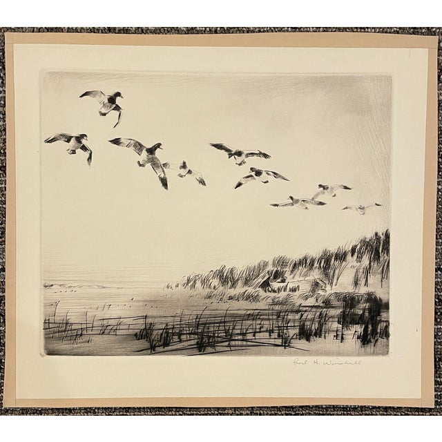 Paul H. Winchell (1903-1972) drypoint of ducks landing, possibly bluebills or scaups. pencil signed lower right.
