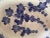 Contemporary Italian Platter Blue and White Pottery Grapes Leaves For Sale - Image 3 of 6