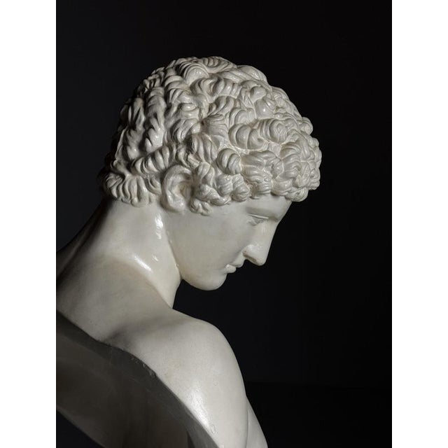 Plaster Bust of Hermes For Sale - Image 11 of 17