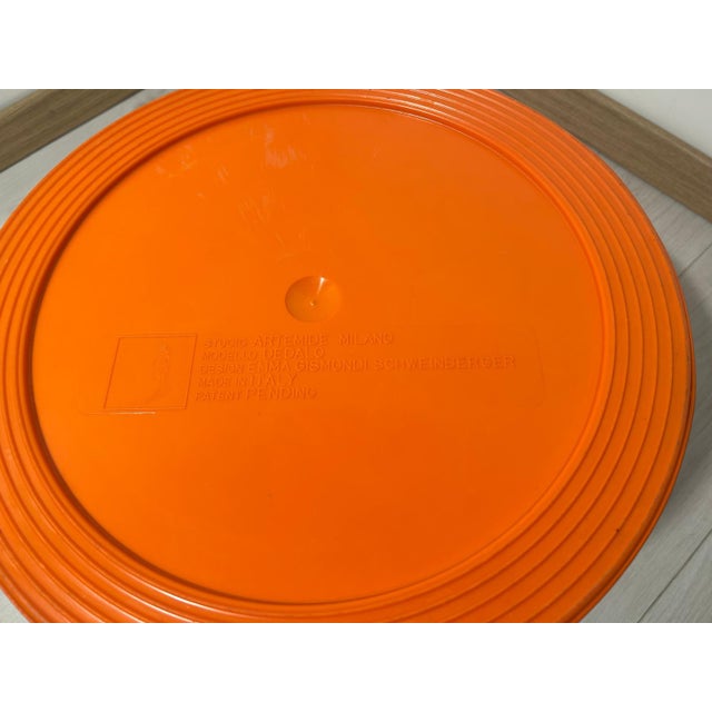 Plastic Dedalo Umbrella Stand by Emma Gismondi Schweinberger for Artemide For Sale - Image 7 of 15