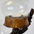 Large varnished driftwood and hurricane glass candelabra. Glass globes are removable to add tea lights and cleaning.