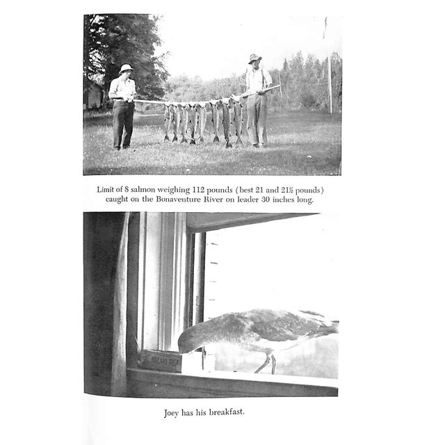 White "Trout and Salmon Fishing" 1949 Hutton, John For Sale - Image 8 of 9