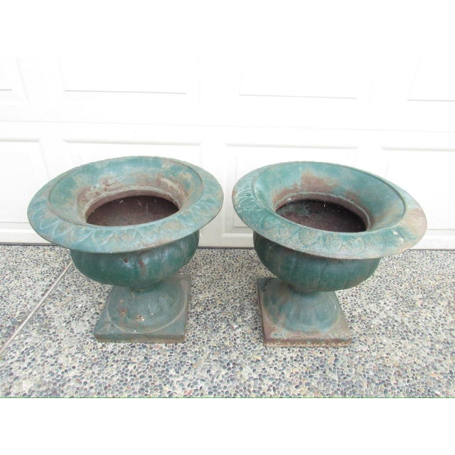 A good looking pair of French Medici style cast iron garden urns, c.1870 Having a flared rim, gadrooned lower body and...