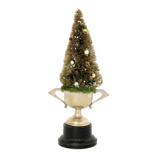Bottlebrush Tree in 1957 Trophy For Sale