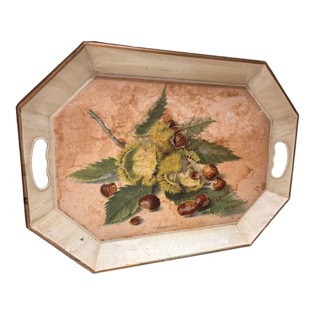 Vintage Botanical Tole Tray With Chestnut Motif - “Castanea Sativa” For Sale