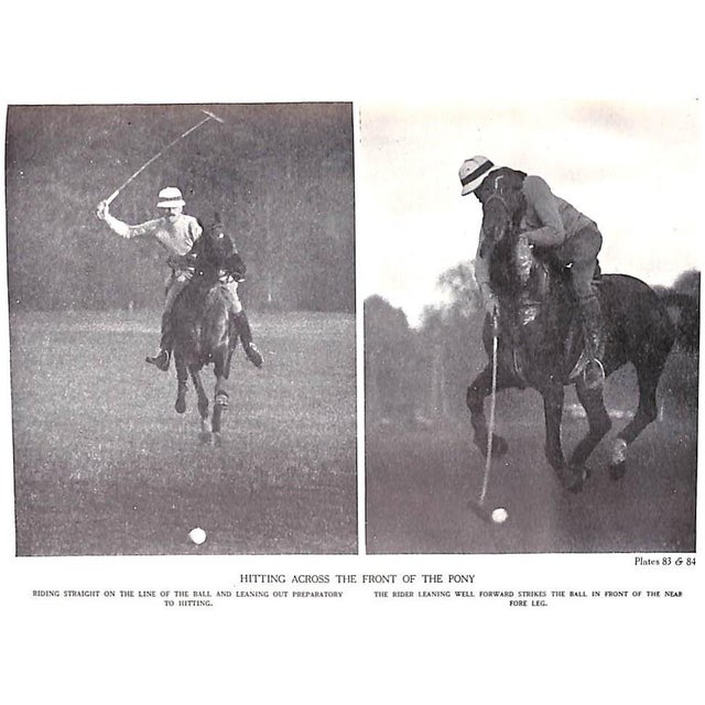 "Horsemanship Dressage & Show Jumping" 1959 Brooke, Maj. Gen. Geoffrey For Sale - Image 12 of 12