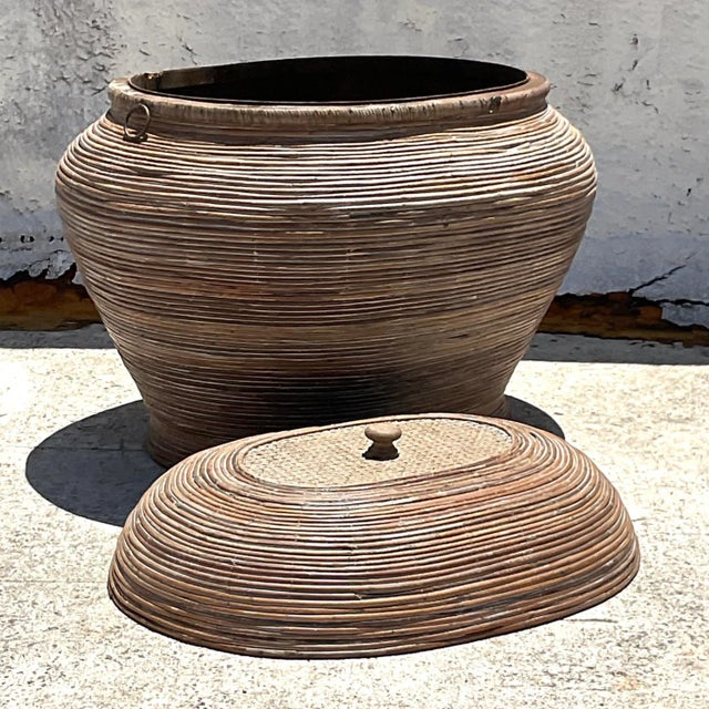 Vintage Coastal Pencil Reed Lidded Basket For Sale - Image 4 of 10