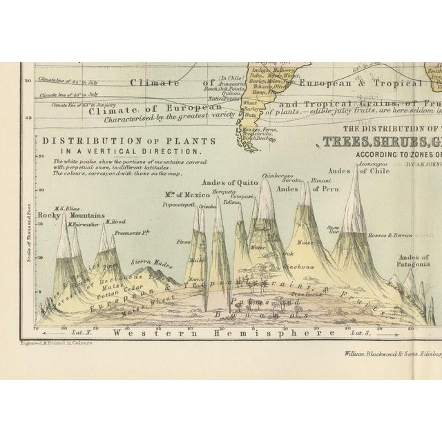 Gold Botanical Map by A.K. Johnston, 1852 For Sale - Image 8 of 10