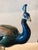 Extraordinary Nymphenburg Hand Painted Porcelain Peacock, Signed and Dated 1912 For Sale - Image 4 of 10