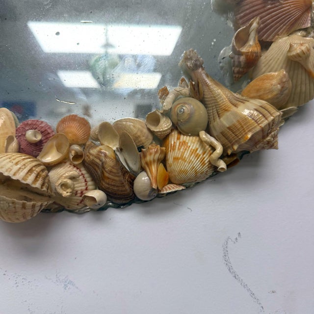 Early 20th Century Antique Scalloped Frameless Circular Shelled Mirror For Sale - Image 5 of 8