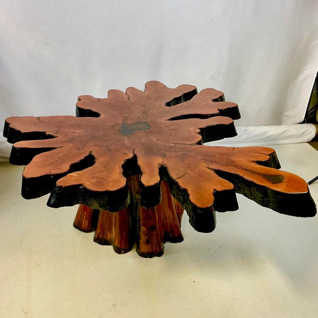 1970s Vintage Rustic Adirondack Arts & Crafts Live Edge Teak Root Coffee Table, Folk Art. For Sale - Image 10 of 14