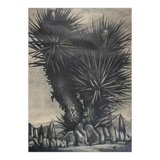 Vintage Helen Ferne Slimp Yucca Lithograph For Sale