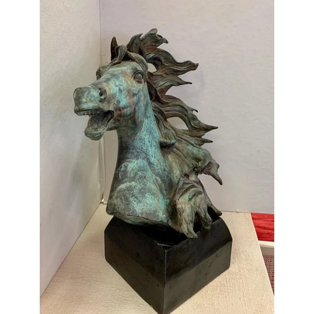 Original Bronze Mustang Bust Sculpture With Verdigris Finish For Sale In West Palm - Image 6 of 12