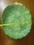 1990s Vintage Otagiri Farmhouse Cottagecore Large Oval Cabbage Serving Platter 15” For Sale - Image 5 of 6