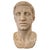 Bust of a Roman Emperor, Early 1800s, Marble For Sale - Image 13 of 13