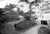 This black-and-white photograph from the 1950s captures the iconic, winding Lombard Street in San Francisco, USA. In the...