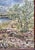 Landscape oil painting in soft tones showing a riot of blooming coneflowers against crystalline water, gray mountains and...