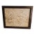 Antique Brazilian Sandstone Framed Plaque Dendrite Fossil Ferns Miniature Geologic Fern For Sale