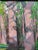 1994 - Red Trees in the Forrest For Sale In Chicago - Image 6 of 8