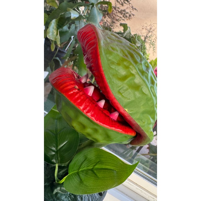 Classic Movie Memorabilia Animated Audrey Plant For Sale - Image 14 of 15