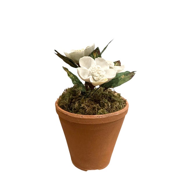 English Vintage Petite Potted French Porcelain Bisque & Tole White Gardenia Flower / Floral Arrangement in Terracotta Pot For Sale - Image 3 of 6