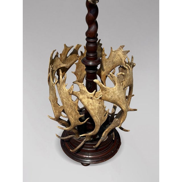 Antique Antler Coat Stand by J. Parker of Woodstock, 1850 For Sale - Image 9 of 12