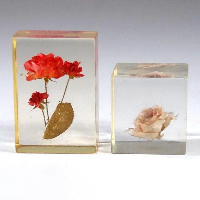 Delicate, dried branches of a rose shrub embedded in acrylic glass lumps. Table decorations or paper buttons. Preserved in...