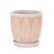 Modern Stone Planter with Plate (Set of 2) For Sale - Image 3 of 3
