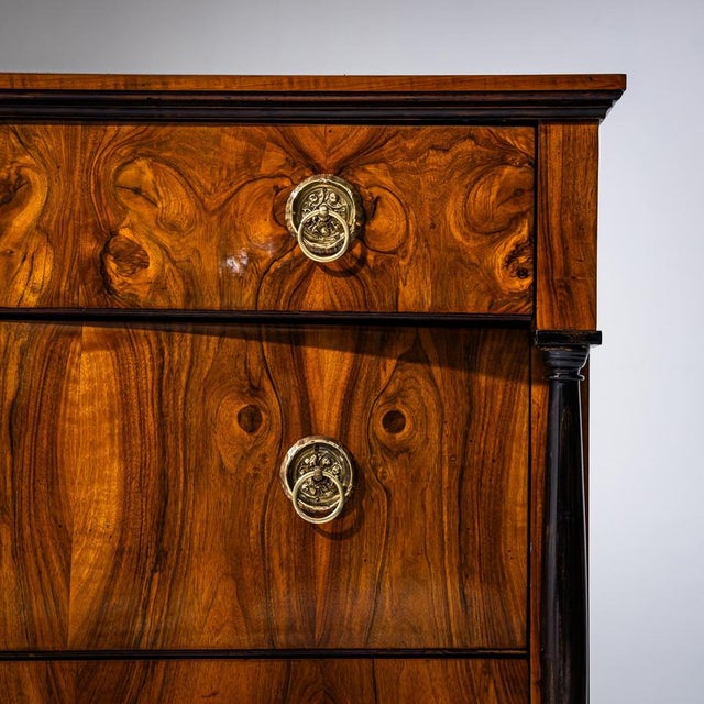 Brown Biedermeier Walnut Chest of Drawers, 1830 For Sale - Image 8 of 9