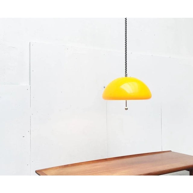 Space Age Cabras Pendant Lamp by Luigi Massoni for Guzzini For Sale - Image 16 of 18