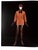 Yves Saint Laurent: Style" 2008 Fondation Pierre Berge - Yves Saint Laurent For Sale - Image 10 of 15