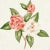 Hollywood Regency Sample - Schumacher Casablanca Floral Indoor/Outdoor Fabric in Coral For Sale - Image 3 of 5