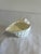 Late 20th Century Vintage White Bone China Conch Shell Dish For Sale - Image 5 of 6