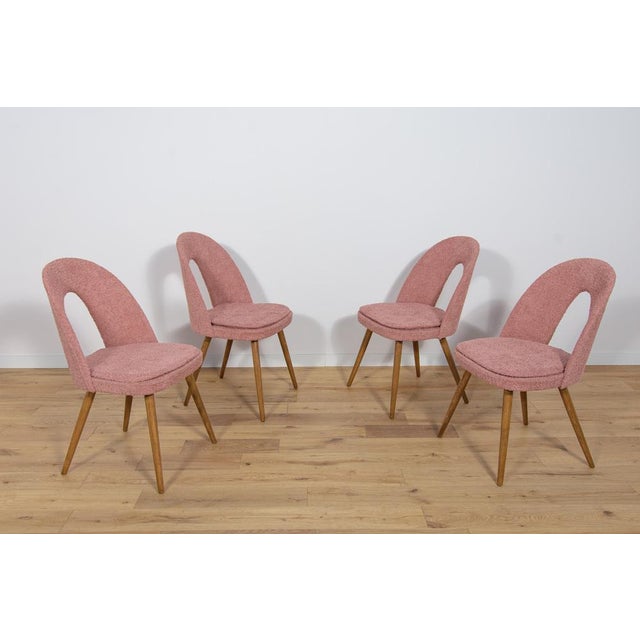 Dining Chairs by Antonín Šuman for Tatra, 1960s, Set of 4 For Sale - Image 9 of 18