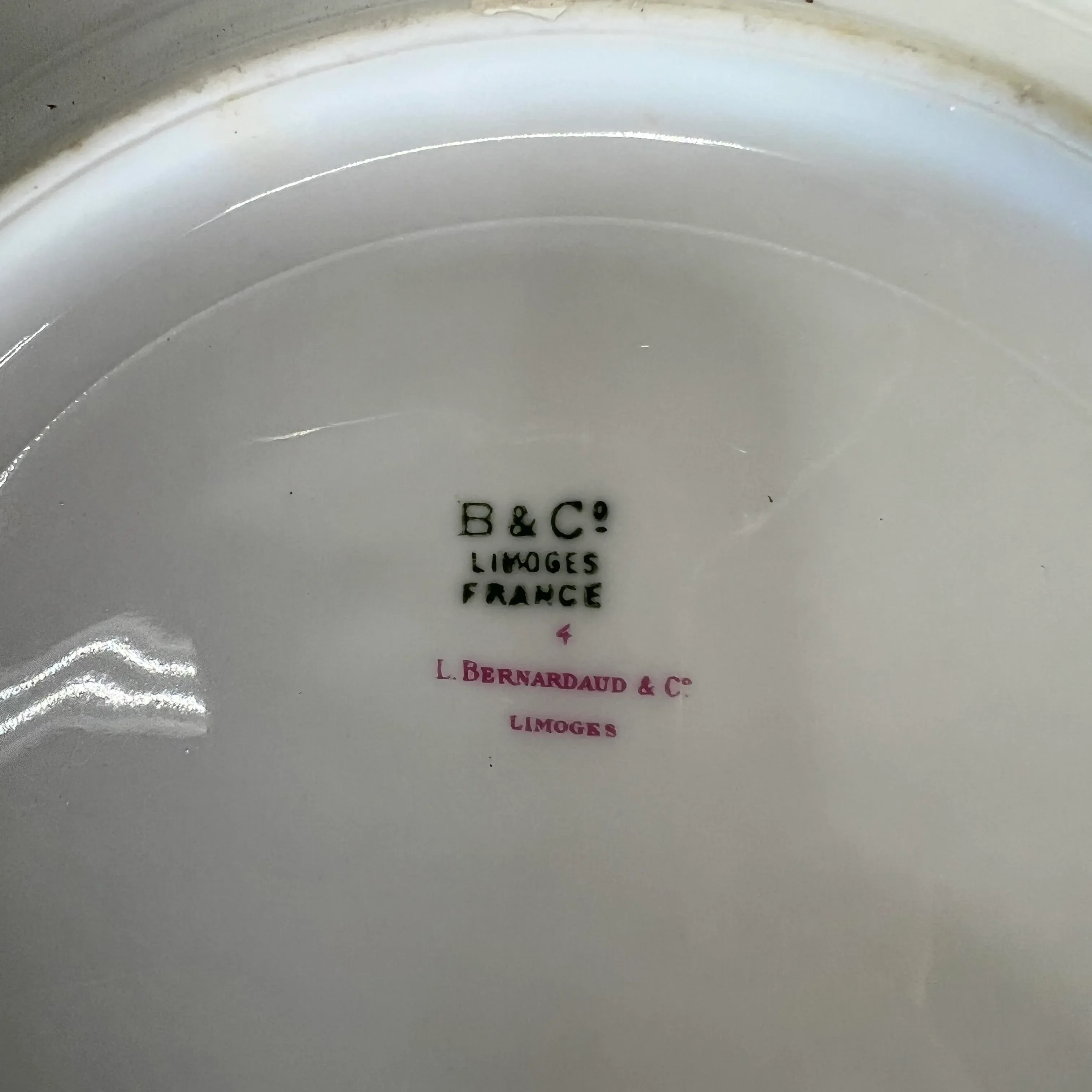 Limoges France Floral Pattern Dinner Plates - Set of 8 | Chairish