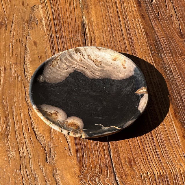 Small Trinket Tray or Dish in Black and Beige Petrified Wood, 1980s For Sale - Image 4 of 11