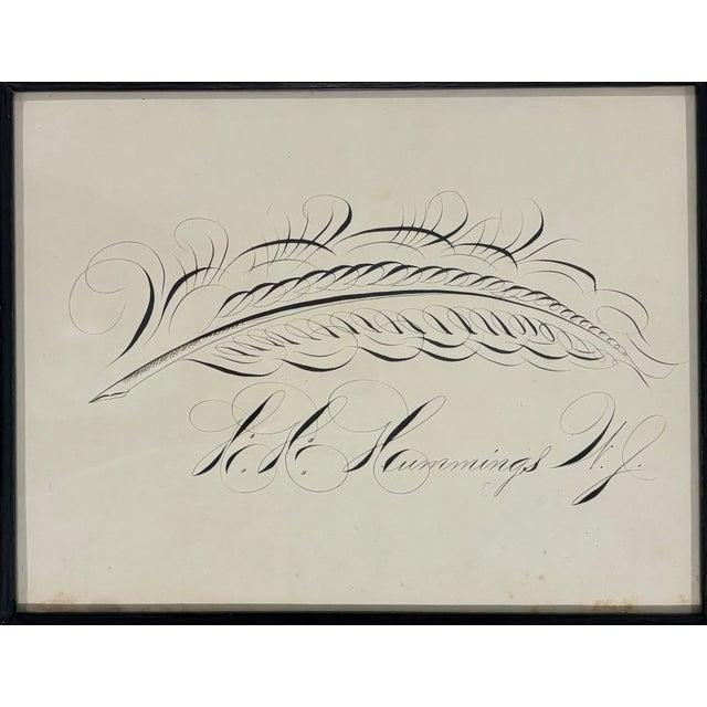 Black 19th Century American Spencerian Calligraphy Penmanship Feather Flourish, Framed For Sale - Image 8 of 10