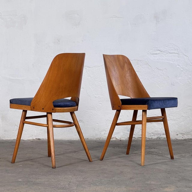 Mid-Century Modern Dining Chairs by Radomír Hofman for Ton, 1960s, Set of 2 For Sale - Image 11 of 14